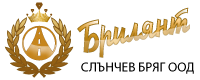 Modern Apartments Logo